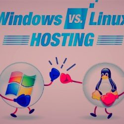 Linux Vs Window Hosting