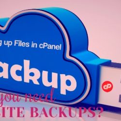 Website Backups