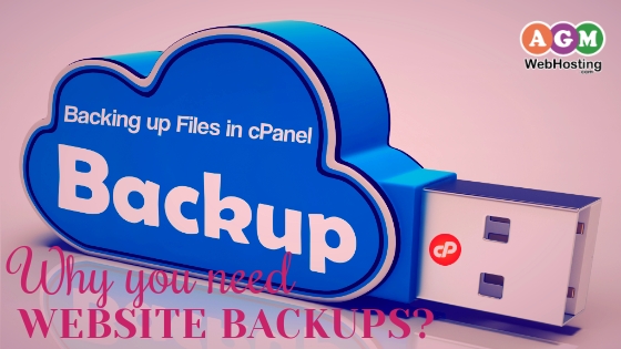 Website Backups