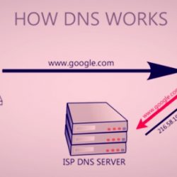 Domain Name System