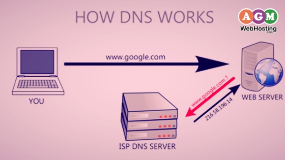 Domain Name System