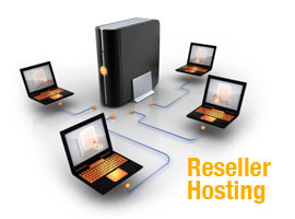 Reseller Hosting Plan