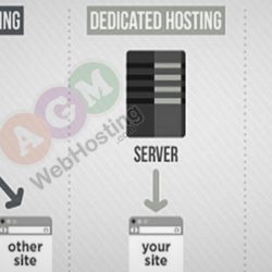 Web Hosting Service Types