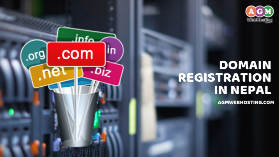 Domain Registration in Nepal by AGM Web Hosting