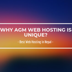 Why AGM Web Hosting is Unique