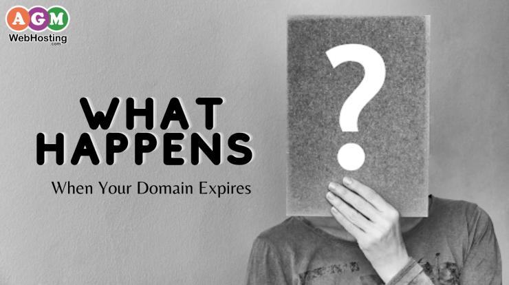 What happens when your domain name expires